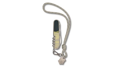 Companion New York Style