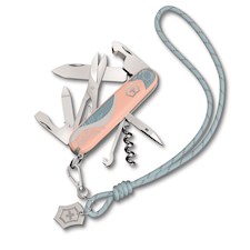 Compagnion Paris Style